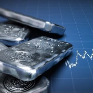 The Silver Millionaire Review