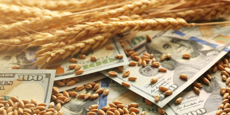 Wealthy Wheat Trader Review Is Wealthy Wheat Trader Scam?